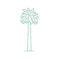 Plants Palms Chilean Wine Palm Laser Cut Svg File, Free Vectors File